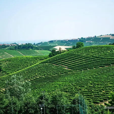 Bed & Breakfast Bellavista Alba, Alba (Piedmont)